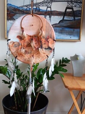 Chick-Themed Dreamcatcher  15x15" and Native American Dream Catcher 6" NEW
